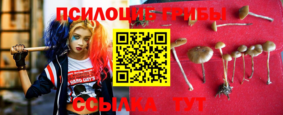 Галлюциногенные грибы прущие грибы  Вход с VPN  Санкт-Петербург  Галлюциногенные грибы прущие грибы 